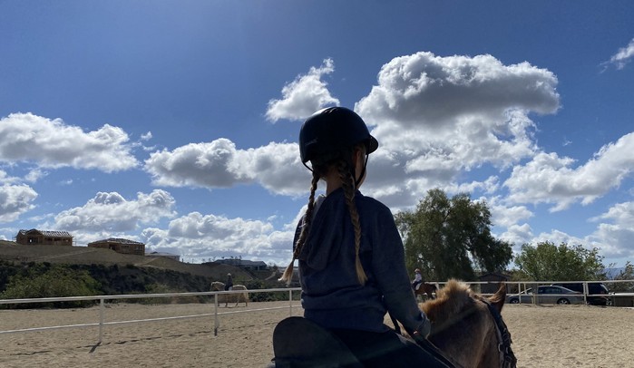 Equine Events